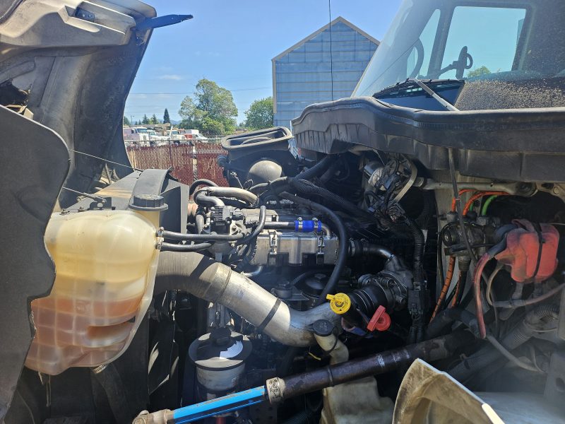 International Shred Tech 35 GT
